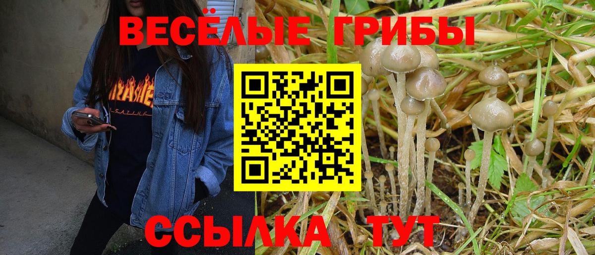 Псилоцибиновые грибы Psilocybine cubensis  магазин  наркотиков  Вход с VPN  Саянск  Псилоцибиновые грибы ЛСД 